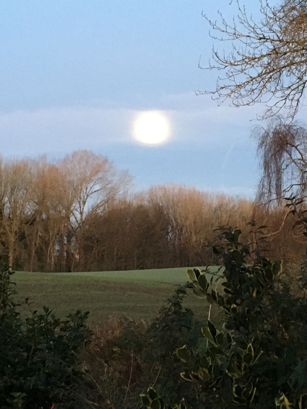 A beaver or frost moon over Rookery Wood, December 1st - photo by Kim J